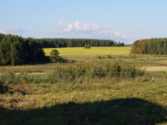 Купить земельный участок, Свердловская область, Сысертский район, с. Фомино, ул. 8 Марта, д. 17